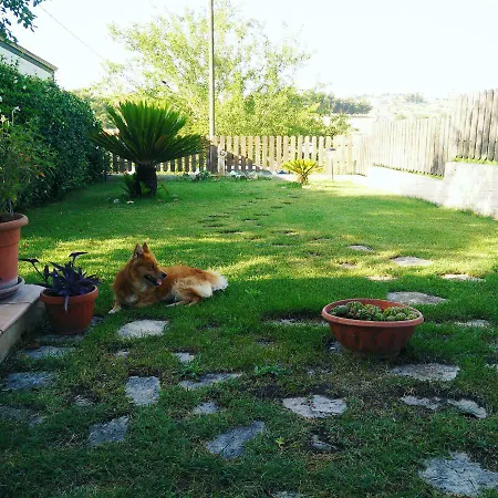 Il Nido Della Palomba Hébergement de vacances *